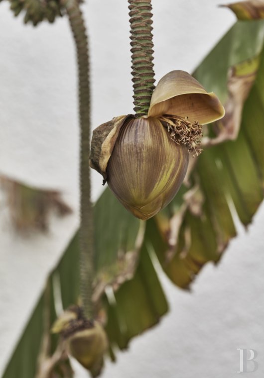 An architect-designed villa built in the 1970s near Arles, in Bouches-du-Rhône - photo  n°3